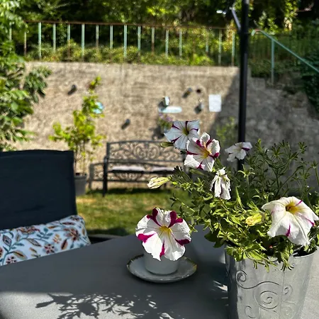 Elya Gartenparadies Nahe Events, Outlet Und Bad Muenstereifel